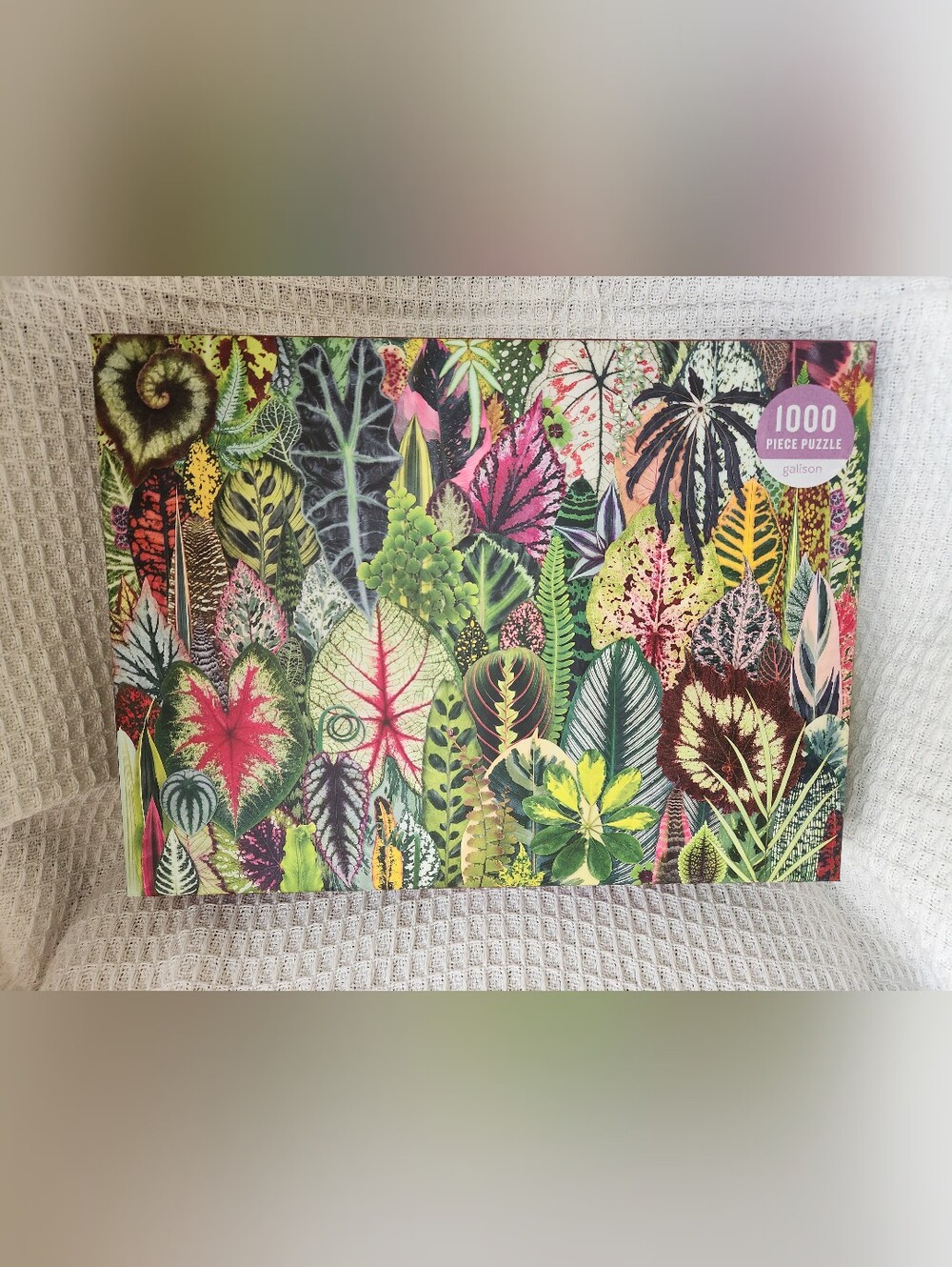 Houseplant Jungle 1000pc Puzzle